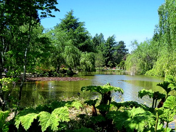 Minoru Park Vancouver