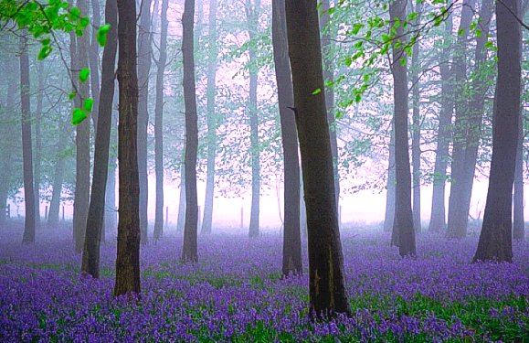 England