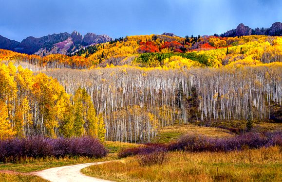 Colorado
