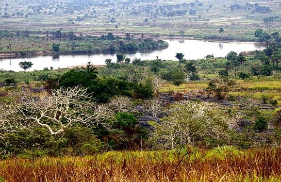 Congo Democratic Republic