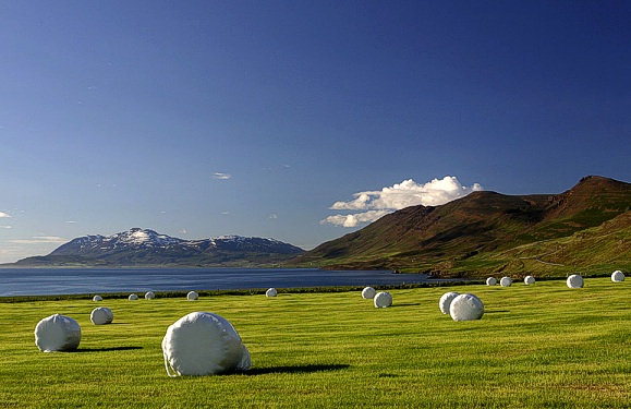 Iceland