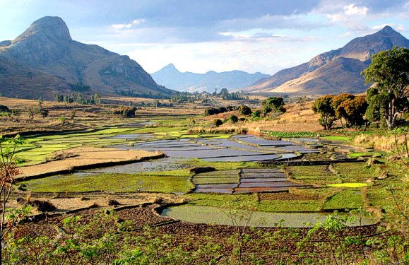 Madagascar