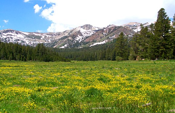 California
