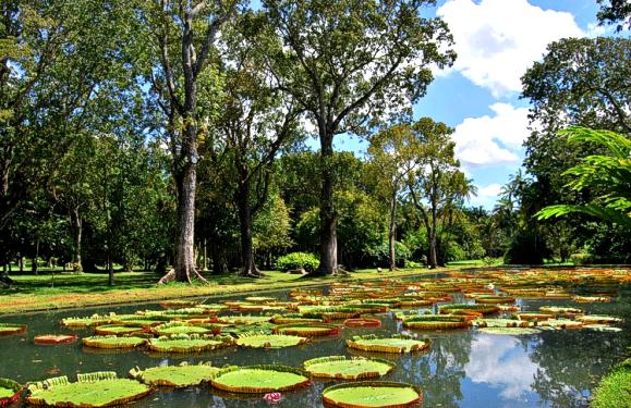 Mauritius