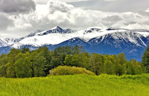 Montana