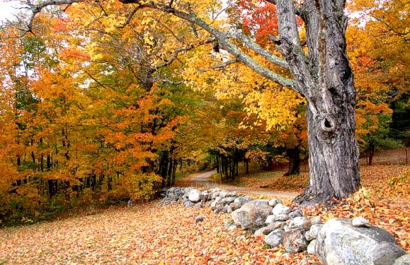 New Hampshire