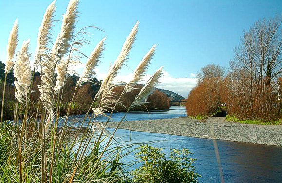 New Zealand