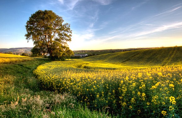 Northern Ireland