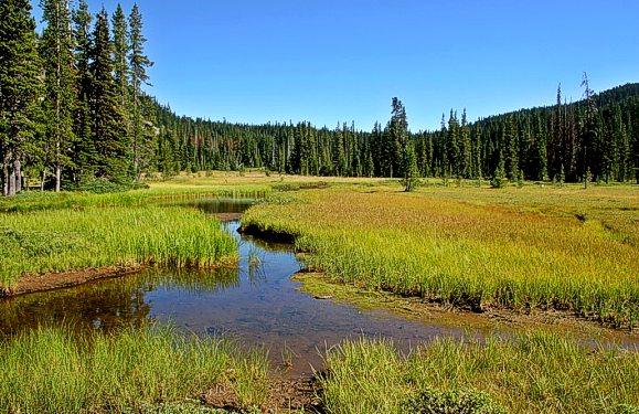 Oregon