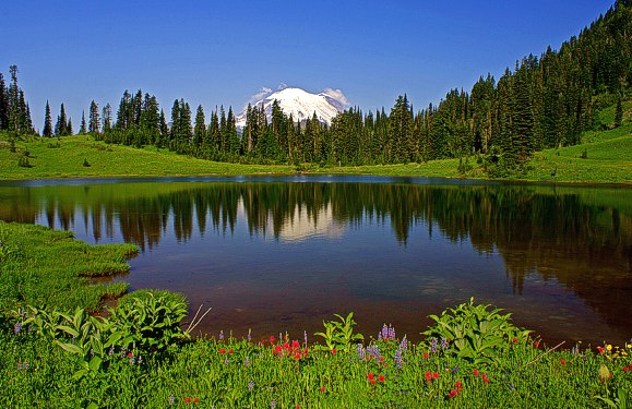 Washington