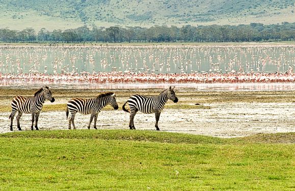 Tanzania