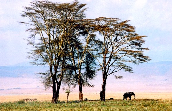 Tanzania