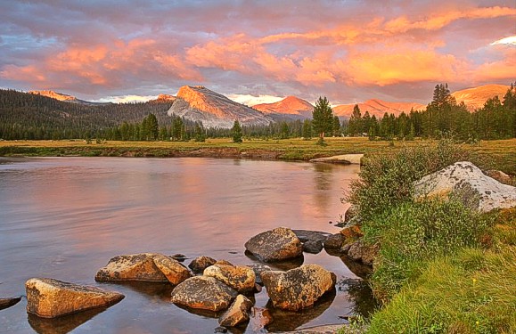 California
