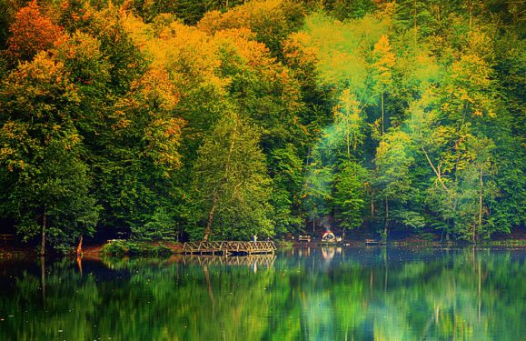 Turkey