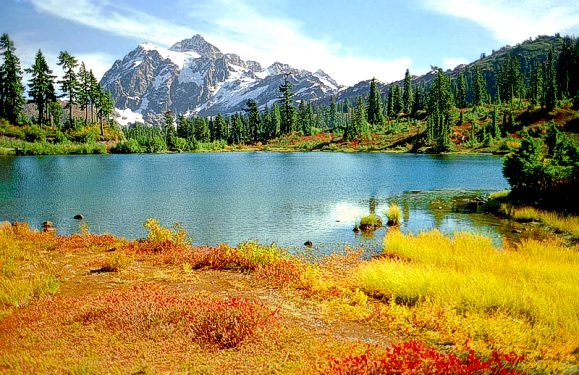 Washington