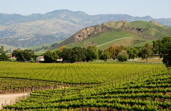 California