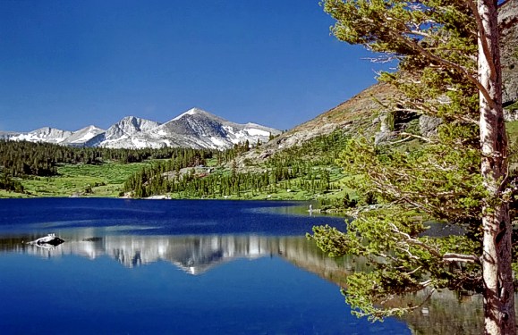 California